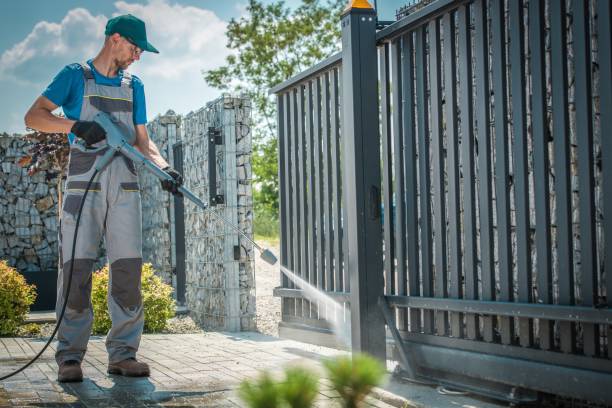 Best Rust Removal  in Albert Lea, MN