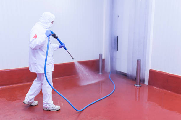 Best Dumpster Area Cleaning  in Albert Lea, MN