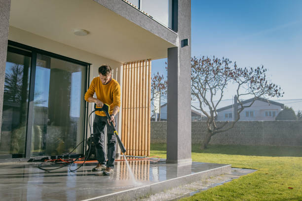 Best Gutter Cleaning  in Albert Lea, MN