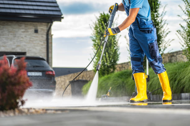 Best Fence Cleaning  in Albert Lea, MN